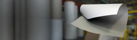 Картон Лайнер