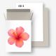 Картон Normprint GD3, Турция